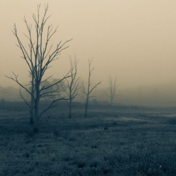 Rainer Maria Rilke : Exploration de sa relation spirituelle