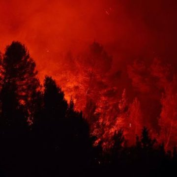 Situation des incendies en France et efforts de lutte