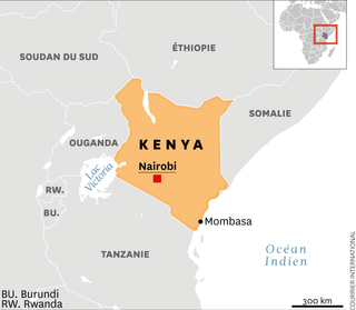 e6c64f4b-0dcc-4417-8360-322322e6d09b Cohabitation Homme-Éléphant au Kenya: Des Solutions Innovantes