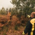 Incendies en France et Perspective Internationale