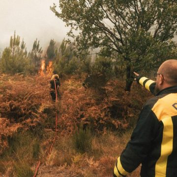 Incendies en France et Perspective Internationale