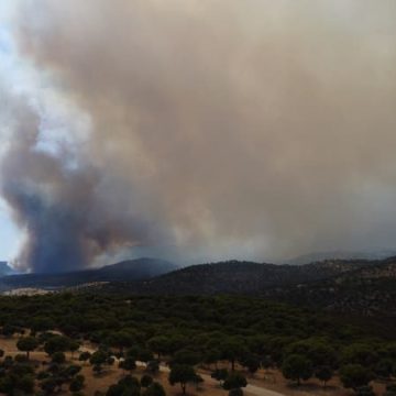 Incendies en Espagne : Évacuation et Lutte Contre les Flammes