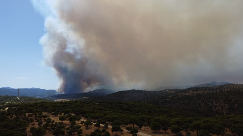 f1252353-577b-40b3-8d54-e6391166075d Incendies en Espagne : Évacuation et Lutte Contre les Flammes
