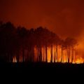 Incendies en Gironde : lutte, évacuations et aide internationale