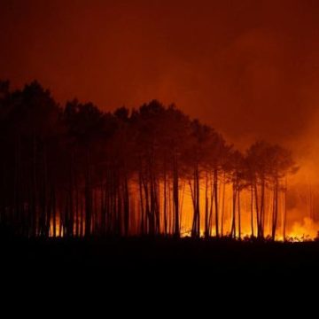 f26f9ac7-e8d1-4ced-af06-a747c8e62a3e Incendies en Gironde : lutte, évacuations et aide internationale