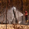 Résumé des événements récents : incendies, migrations, tensions internationales et tragédies