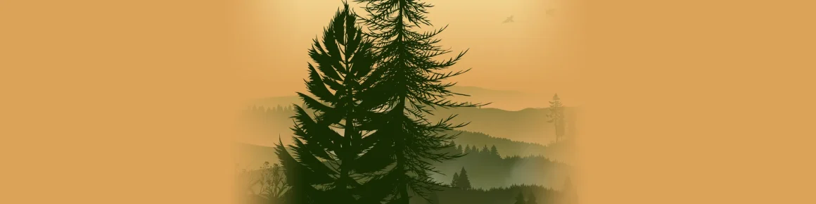 Explorer et Protéger les Forêts à Travers les Podcasts
