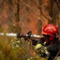 Incendie en Lozère : Plus de 100 hectares brûlés