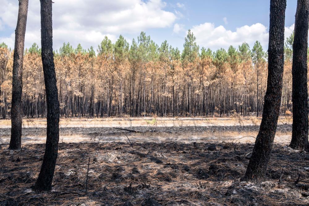 08a90085-fc35-42ef-b691-8084e35bfa17 La situation des incendies en France et en Europe