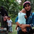 Xénophobie envers les Rohingya en Malaisie: un phénomène inquiétant
