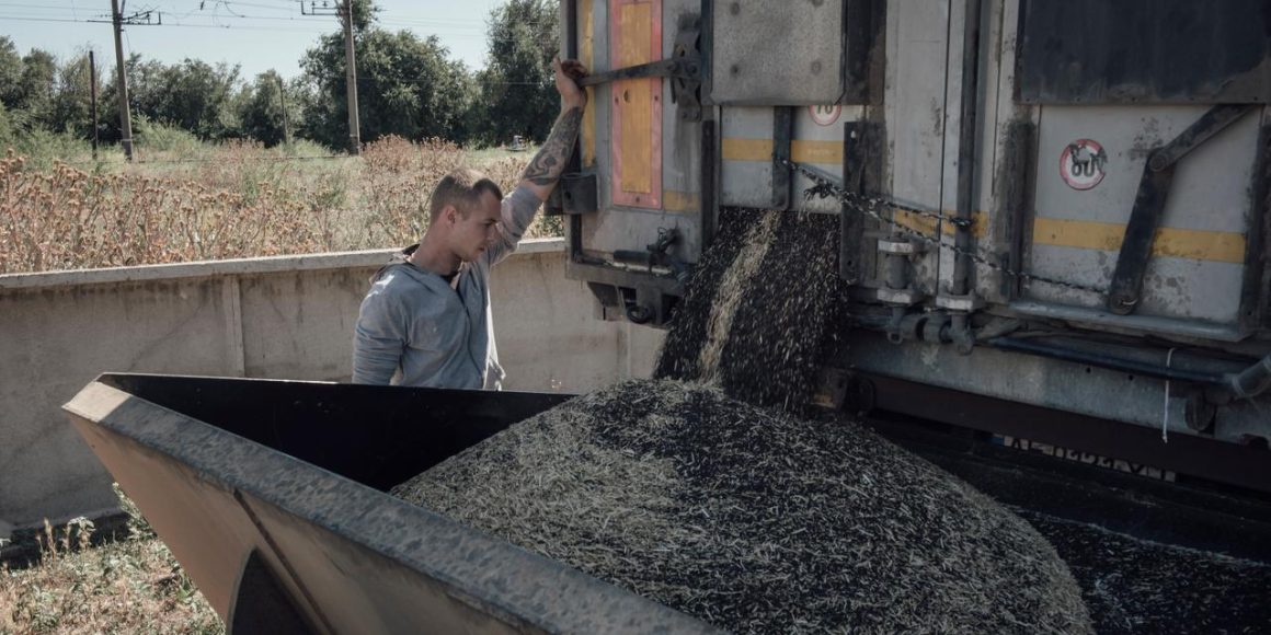 Les agriculteurs ukrainiens face au défi des exportations