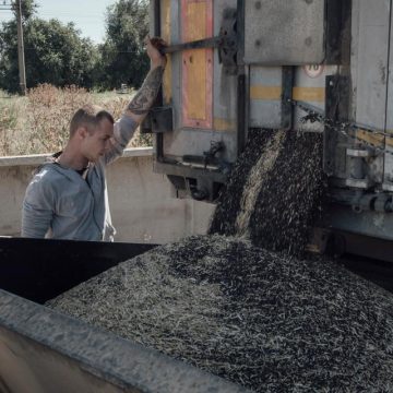 Les agriculteurs ukrainiens face au défi des exportations