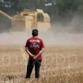 Impact des canicules et de la sécheresse sur les cultures