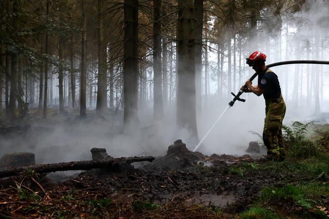 0fc986d1-4831-43c3-bfe9-98a9752c8433 Incendie historique sur le plateau des Hautes-Fagnes en Belgique