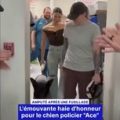 Un chien policier courageux sauve des vies lors d&rsquo;une fusillade