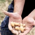 Les Distributeurs Soutiennent les Agriculteurs Face à la Sécheresse