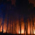 Incendie dans les Landes : sécurisation et réouverture
