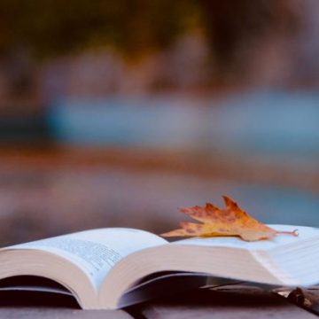 Les Thrillers Psychologiques de la Rentrée Littéraire