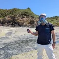 Les algues vertes envahissent les plages bretonnes en été 2026
