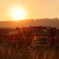 Episode de Canicule en France