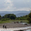 La canicule et ses conséquences selon les habitants et secteurs touchés
