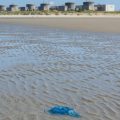 Réouverture progressive des réacteurs nucléaires de Gravelines après une invasion de méduses