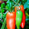 Préserver fruits et légumes pour réduire le gaspillage alimentaire