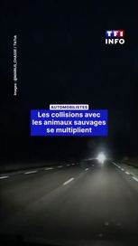 322d6af3-f230-47c7-be9a-c0ce0506bba9 Les chocs violents et les préservatifs non conformes : Une double alerte pour la France