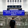 Trafic de drogue : le piège du voyage gratuit