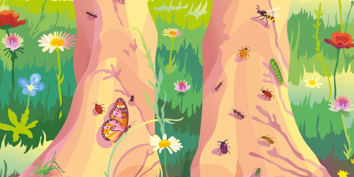 Les menaces sur la biodiversité et les écosystèmes
