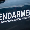 Découverte de 287 animaux vivant dans des conditions déplorables à Oye-Plage