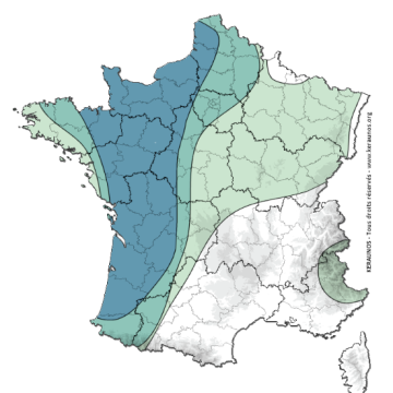 4440c0f0-de7e-4005-9644-2f6f56df24c4 Prévisions d’orages sur le territoire français