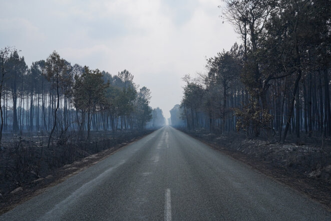 53418f5a-b6ba-40f7-a53b-ec348b0634f0 Climat En Gironde, après le feu, le temps des questions