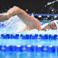 La performance du relais masculin français en natation