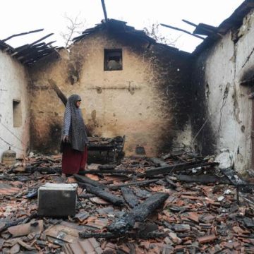 5f45e36c-b350-4593-a6ff-a555d971d37a Incendies dévastateurs en Algérie