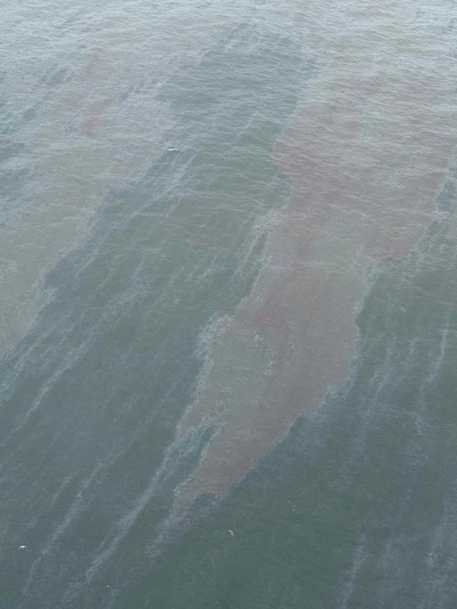 6160f1f7-aa00-4a2f-8e28-217598ad6418 Catastrophe écologique en mer d’Arabie : Oman face à une marée noire