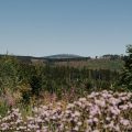 Défi climatique en Allemagne : La nécessité d&rsquo;une meilleure coordination fédérale