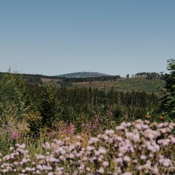 Défi climatique en Allemagne : La nécessité d&rsquo;une meilleure coordination fédérale