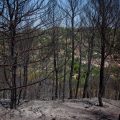 Incendie du Gros Bessillon maîtrisé mais toujours actif