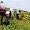 Violences dans l&rsquo;État du Plateau au Nigeria