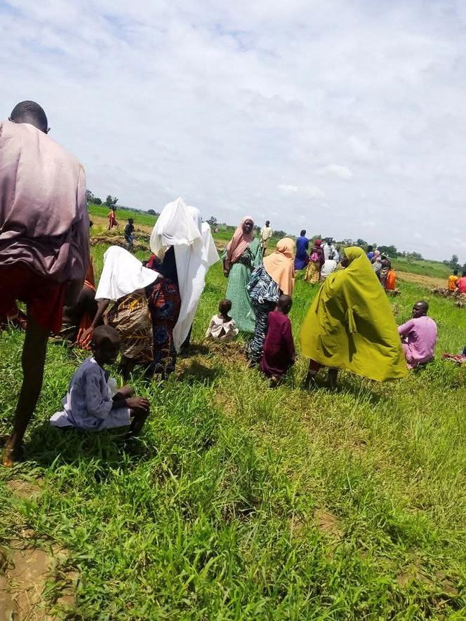 6b9410f5-a8aa-46d0-9646-ea6c44c73239 Violences dans l’État du Plateau au Nigeria