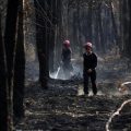 Assistance pour les sinistrés du mégafeu en Gironde
