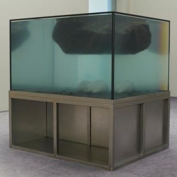 Exploration Artistique de Pierre Huyghe à la Fondation Beyeler