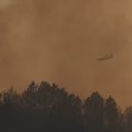 Incendies En France: Situation Actuelle