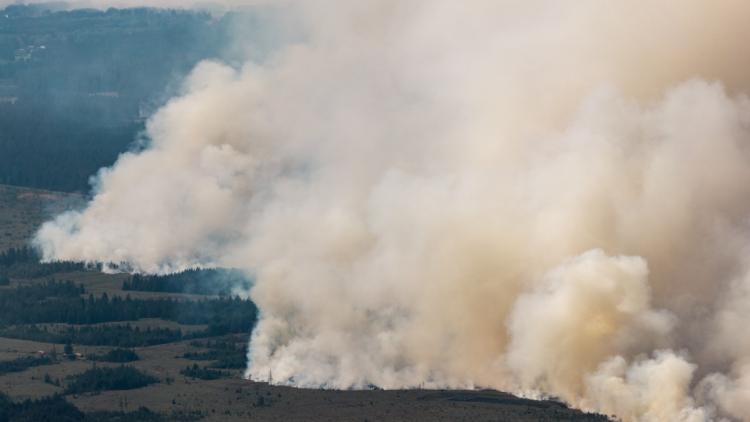 7d31d8a0-cb4f-4768-8eda-8dbddd79ab88 La Belgique en proie aux flammes, menace pour l’Allemagne