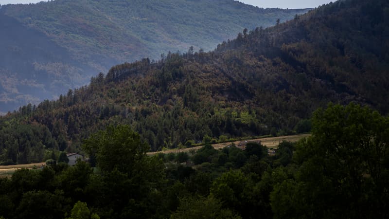 83ef847d-2c29-46b1-a028-0268e3c3163b Incendies dans la Drôme : situation stabilisée mais vigilance maintenue