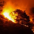 Le phénomène El Niño et la crise climatique