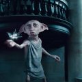 La « tombe » de Dobby sauvée grâce aux fans de Harry Potter