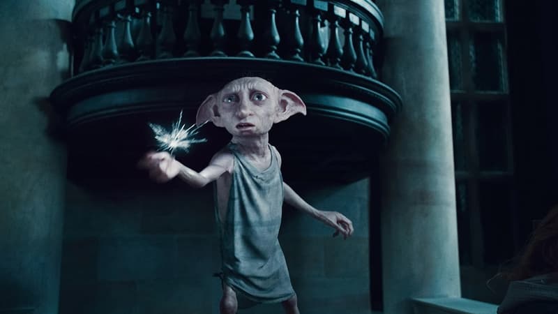 88e175f1-31ee-4628-8f66-1a45ac3f4a0b La « tombe » de Dobby sauvée grâce aux fans de Harry Potter