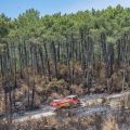 Lutte contre les incendies en Gironde : défis et implications